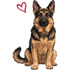 German Shepherd, German Shepherd