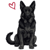 Black German Shepherd