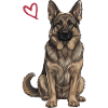 Black and Brown German Shepherd