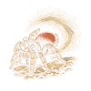 Tarentule