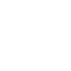 Phoenix City Blueprint