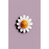 Cheerful Daisy Sun on Lilac Background