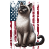 Siamese Cat US Siamkatze
