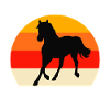 Équipe Hannoveraner