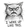 Furious Cat Scribble