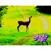 whats up