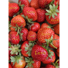 Fraises