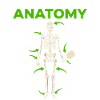 Pickleball Anatomy Illustration Davinci