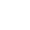 Boykin Spaniel "Black Edition"