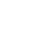 Golden Doodle « Édition Noire »