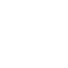 Labrador « Édition Noire »