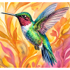 colibri