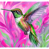 Kolibri