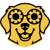 Cool Retriever Glasses Hippie Dog