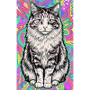 chat