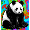 panda