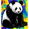 panda