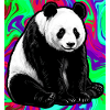 panda