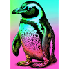 penguin