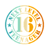 16th Birthday Boy Girl Teenager Level 16