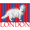 Punk Cat London Stripes
