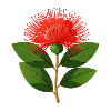 Pohutukawa Flower