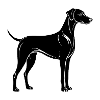 Plot Hound