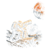 Astronomy Astronomer