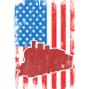 July 4 USA Railroad