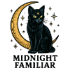 Moonlit Night: Midnight Familiar Cat