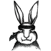 Karaté Lapin