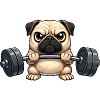 Cool Pug With Dumbbell Cartoon Fitness Bodybuilder