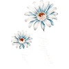 Blue Daisies Happiness and Love
