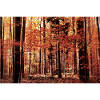 Autumn Forest in Red