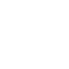 Kooikerhondje « Édition Noire »