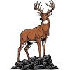 White-tailed Deer Majestic Wild Nature