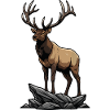 Majestic Elk Elk Wilderness Rock