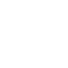  Democracy Needs Witnesses Press Freedom