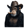 Schimpanse mit Cowboyhut und Zigarre