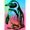 pingouin