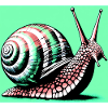 Snail