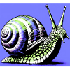 Schnecke