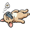 French Bulldog Frenchie Frenchie Owner