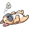 French Bulldog Frenchie Frenchie Owner