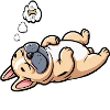 Hundemüde Französische Bulldogge Frenchie Frenchie