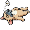 Hundemüde Französische Bulldogge Frenchie Frenchie