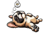 Hundemüde Französische Bulldogge Frenchie Frenchie