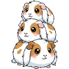 Stacked Guinea Pig Kawaii Trio