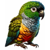 Rock parakeet motif