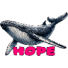 Whales of Hope - Hope